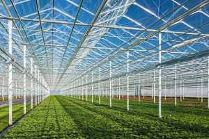 Outdoor Monitor Temperature And Humidity In Greenhouses Cultivation And Indoor Farm Animal Area